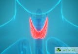 Хипофункция на щитовидната жлеза - причини, симптоми и лечение
